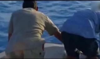 野外求生夫妻档 野外求生夫妻档