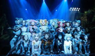 音乐剧猫中文版 音乐剧猫中文版