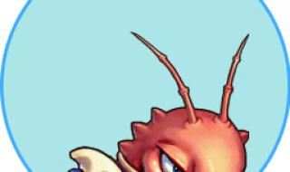 梦幻西游普陀选什么坐骑好看 梦幻西游唯美版图片