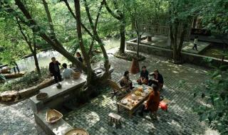 我家门前有两棵树 我家门前有两棵树