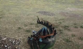 什么龙能秒杀霸王龙