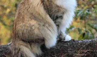 挪威的森林原文 挪威的森林4分59秒