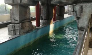 泰安天乐城水世界