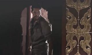 斯科特·阿金斯身高 斯科特阿金斯,和大象什么电影