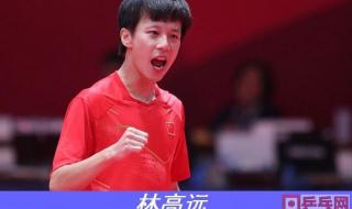 蓝标正手配什么胶皮 许昕用什么底板,胶皮是什么