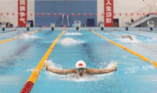 奥运会游泳金牌获得者 东京奥运会中游泳界的奖牌最多的国家
