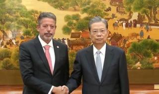 巴西vs阿根廷2023世预赛几点开始 2023世界杯谁会夺冠