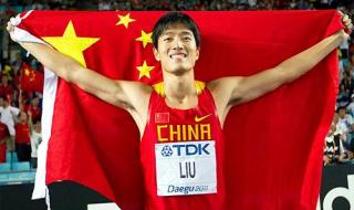 2008年刘翔退赛原因